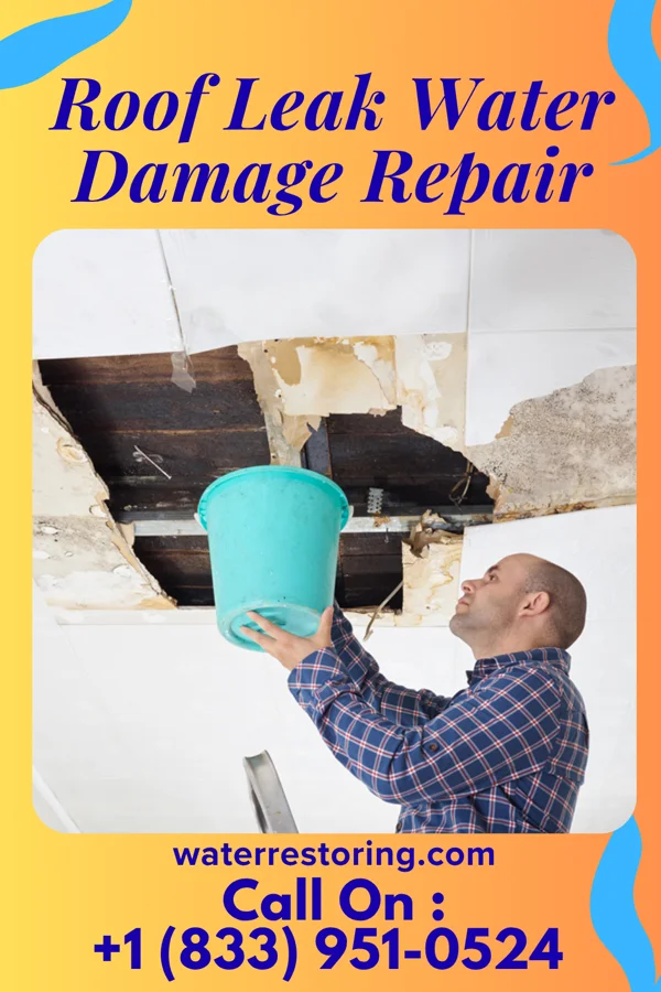 Roof Leak Water Damage Repair in Waldo, WI